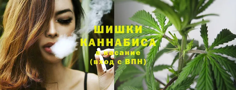 Бошки марихуана OG Kush  Хасавюрт 